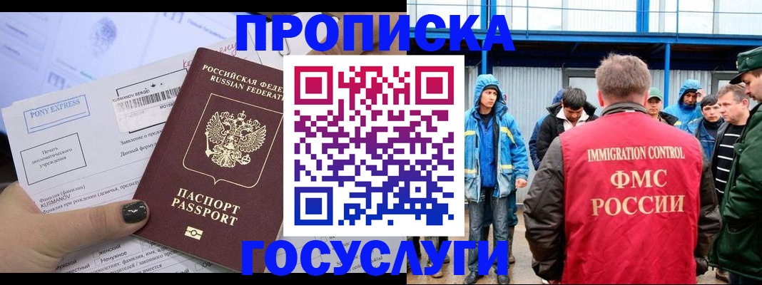 прописка законно в Новгородской области